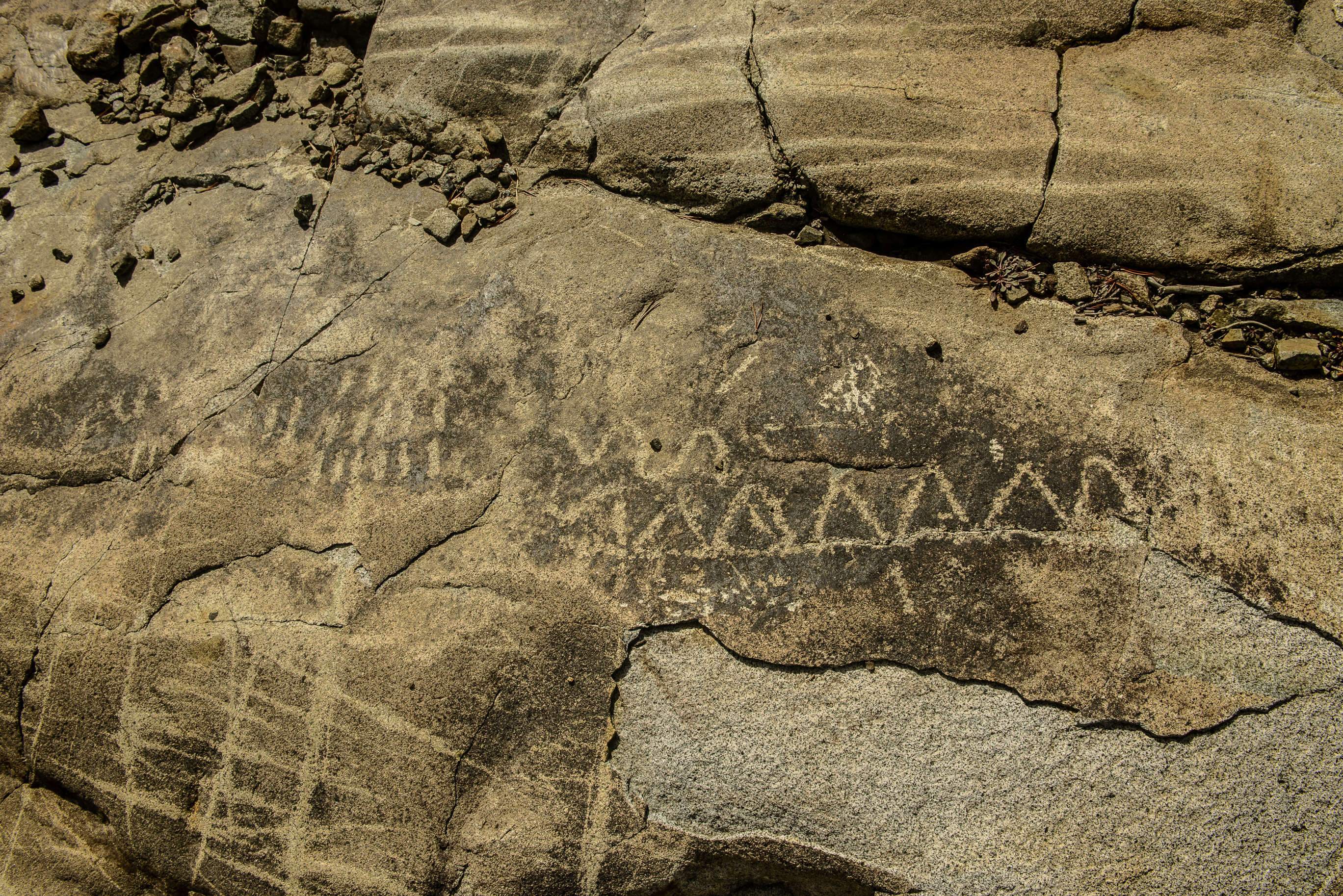 Meadow Lake Petroglyphs-7524