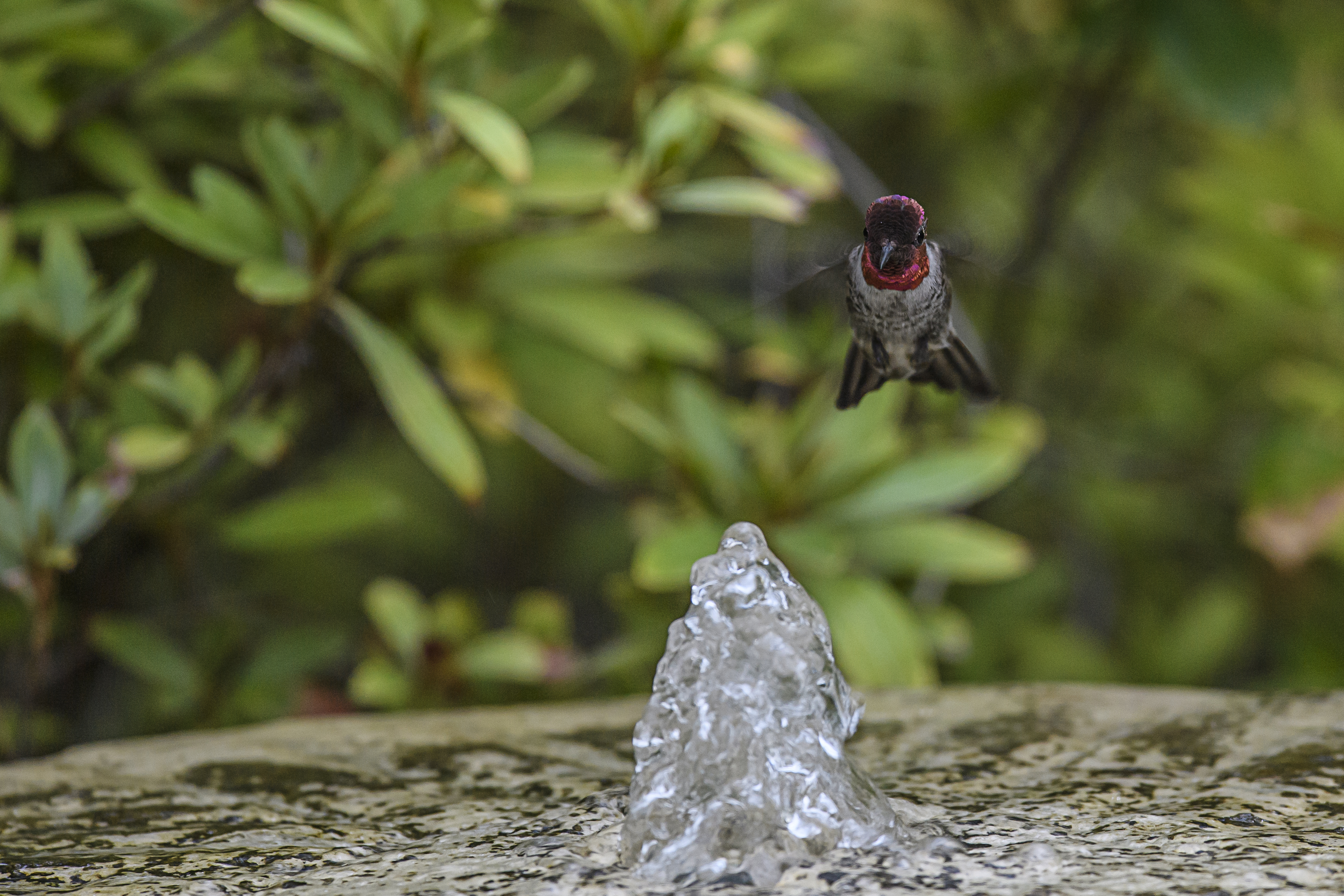 flying-hummer-fountain-4