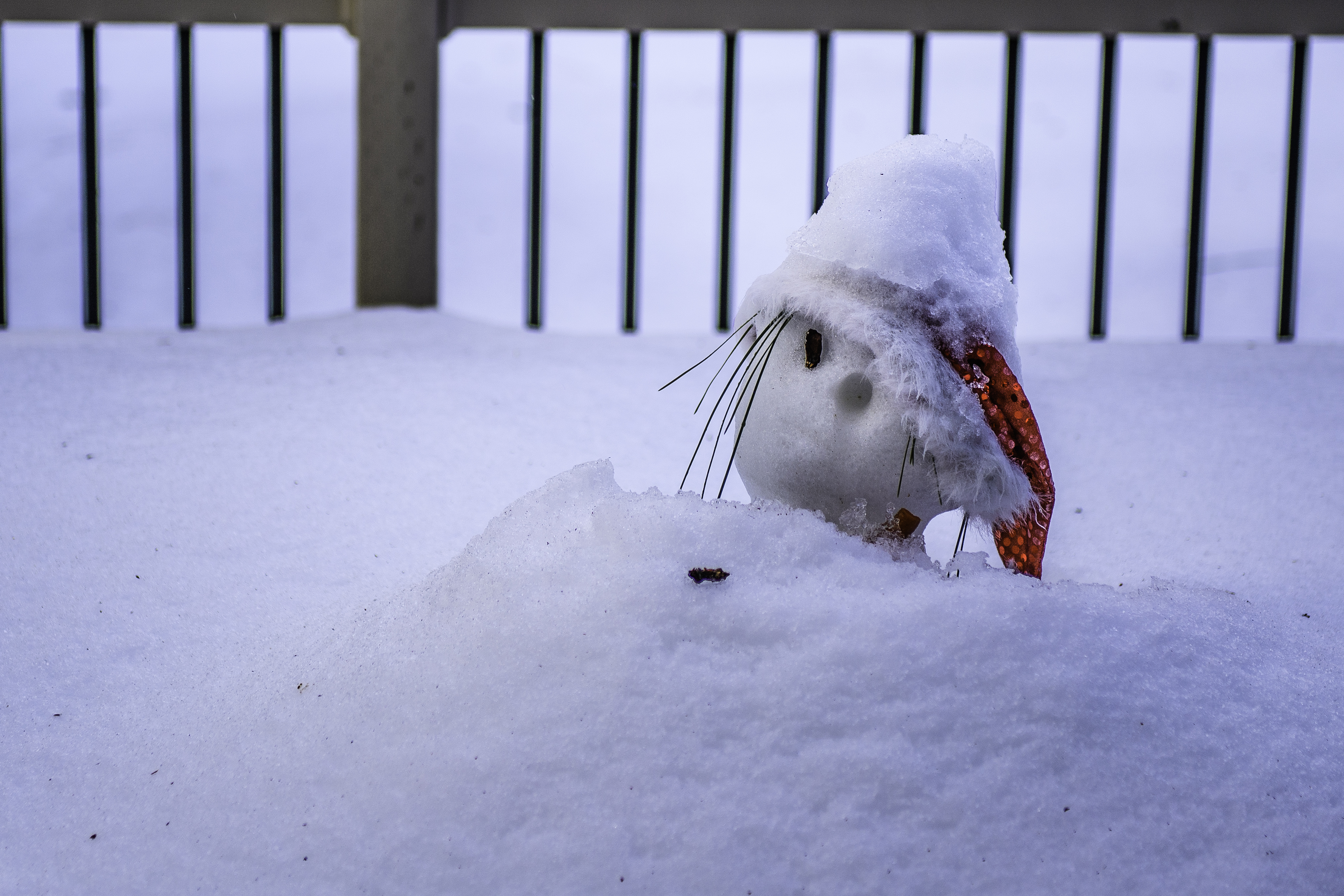 Frosty the snowman.jpg