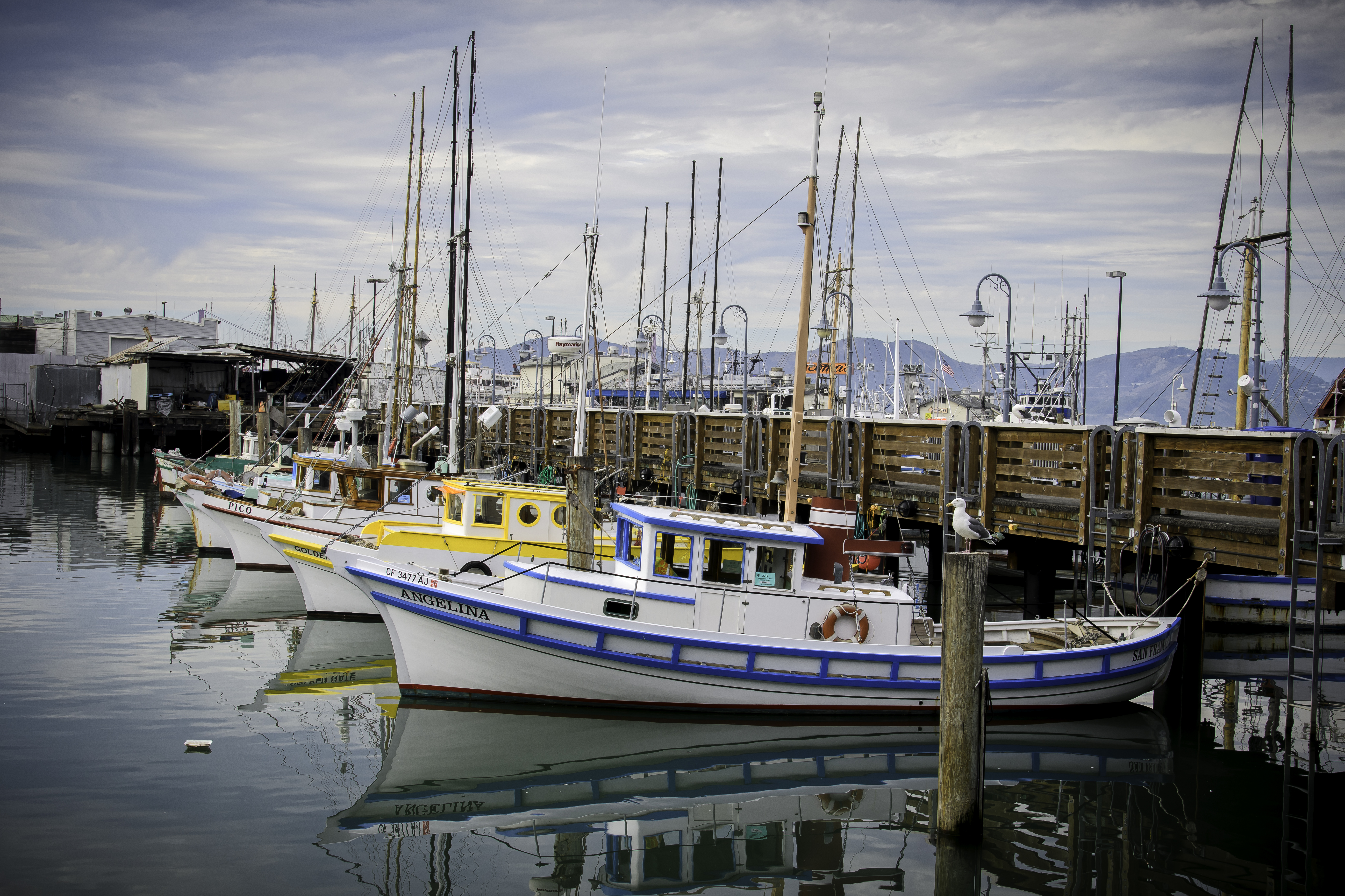 Fisherman's Wharf.jpg